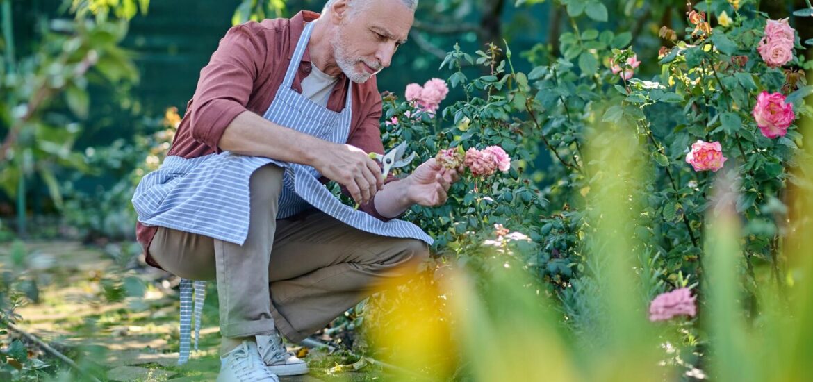 7 astuces pour un jardinage sécurisé pour les seniors