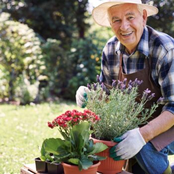 Le jardinage : une activité thérapeutique pour les seniors